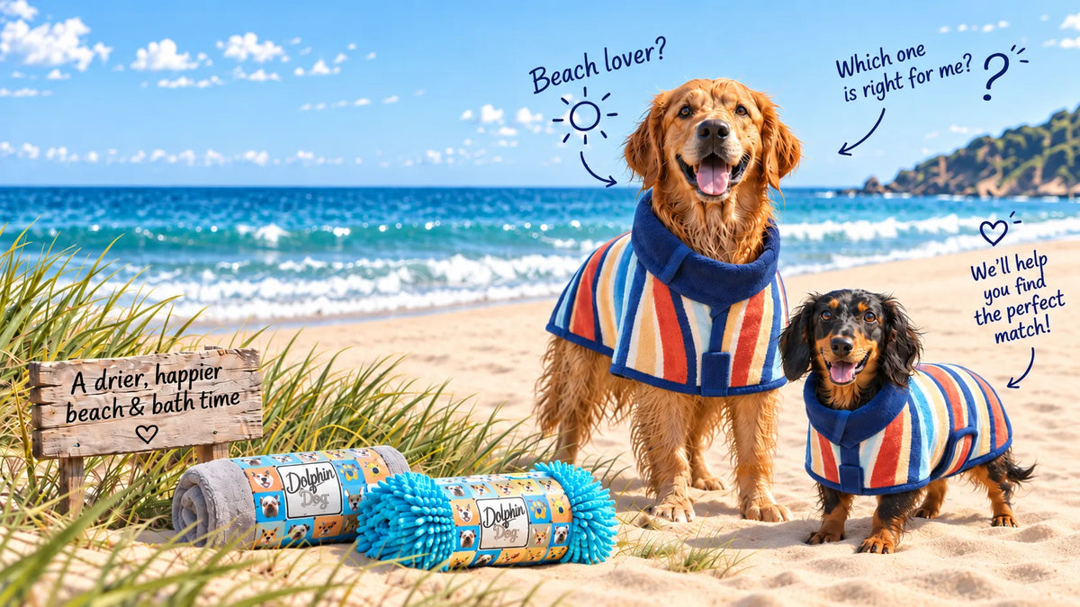 Two wet dogs wearing Dolphin & Dog drying robes with dog towels on an Australian beach.