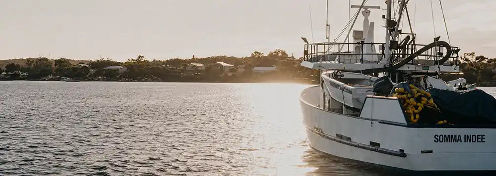 Fishing boat on the water at golden hour in Port Lincoln, with sunlight reflecting across the harbour.