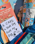 A gift box made for dogs, a collection of dog products placed in a beautifully illustrated gift box hamper