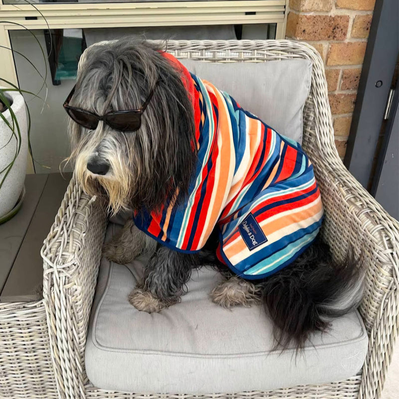 dog hooded towel, dog drying coat, the best dog towels, dog coat for dogs