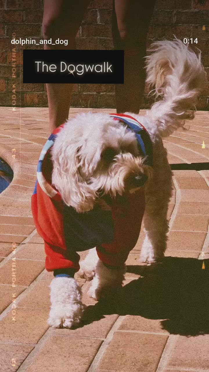 the best dog hoodie money can buy. check out this hoodie for dogs. free shipping and free matching tote bag. dog jumper
