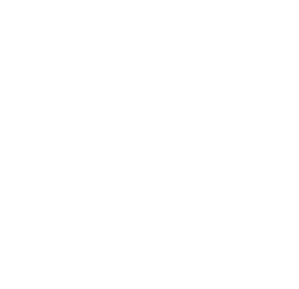 Dolphin and Dog logo