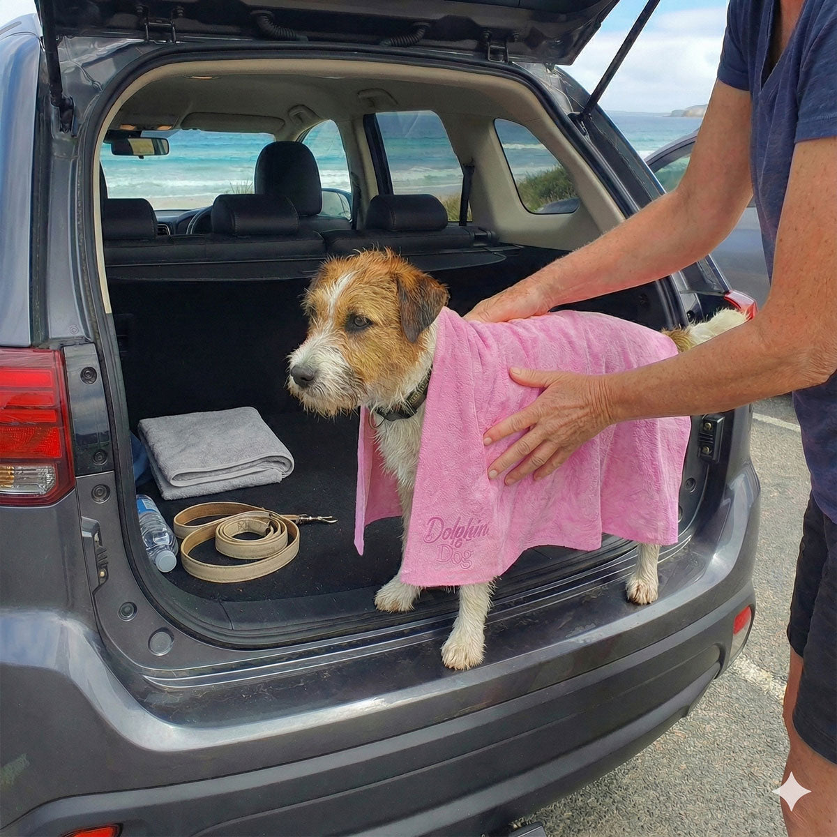 dog getting dried at the beach carpark with a Dolphin and Dog towel