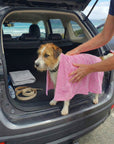 dog getting dried at the beach carpark with a Dolphin and Dog towel