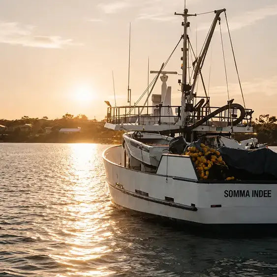 Port Lincoln fishing boat at sunset for Australian air-dried fish dog treats.