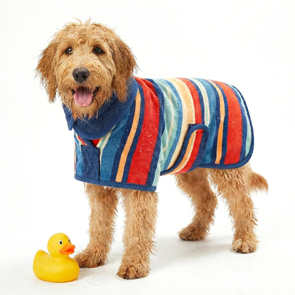 A wet dog wearing a colorful wearable dog towel with a rubber duck on a white background.