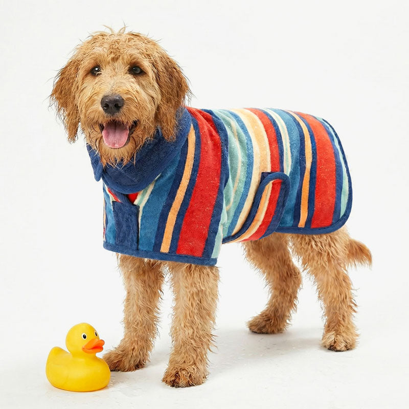 A wet dog wearing a colorful wearable dog towel with a rubber duck on a white background.