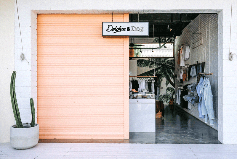 Dolphin and Dog store front - B2B, retail and wholesale 