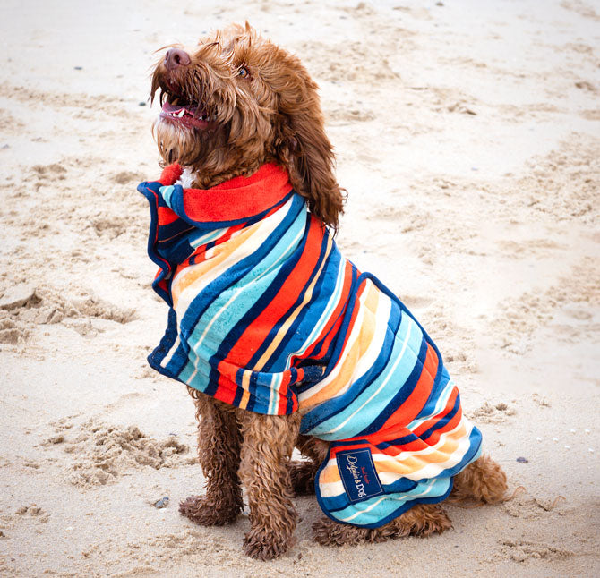 Perfect for muddy walks or water dips, the Dog Towel Drying Coat keeps your dog dry and comfortable after every messy outdoor adventure.