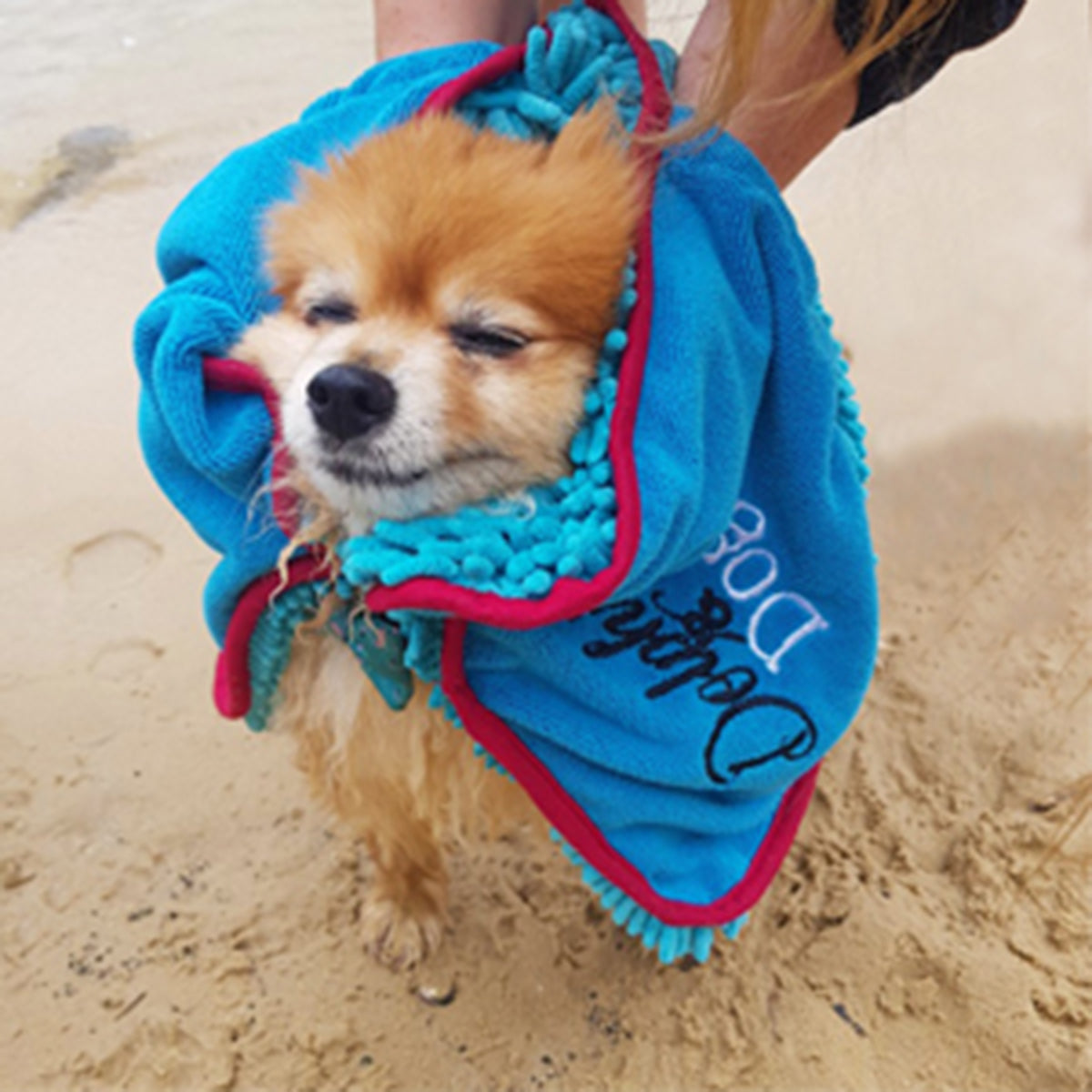 Super Absorbent Dog Towel &quot;Our super absorbent dog towel quickly soaks up water, dirt, and mud, making it the perfect tool for a fast, effective drying experience after walks or baths